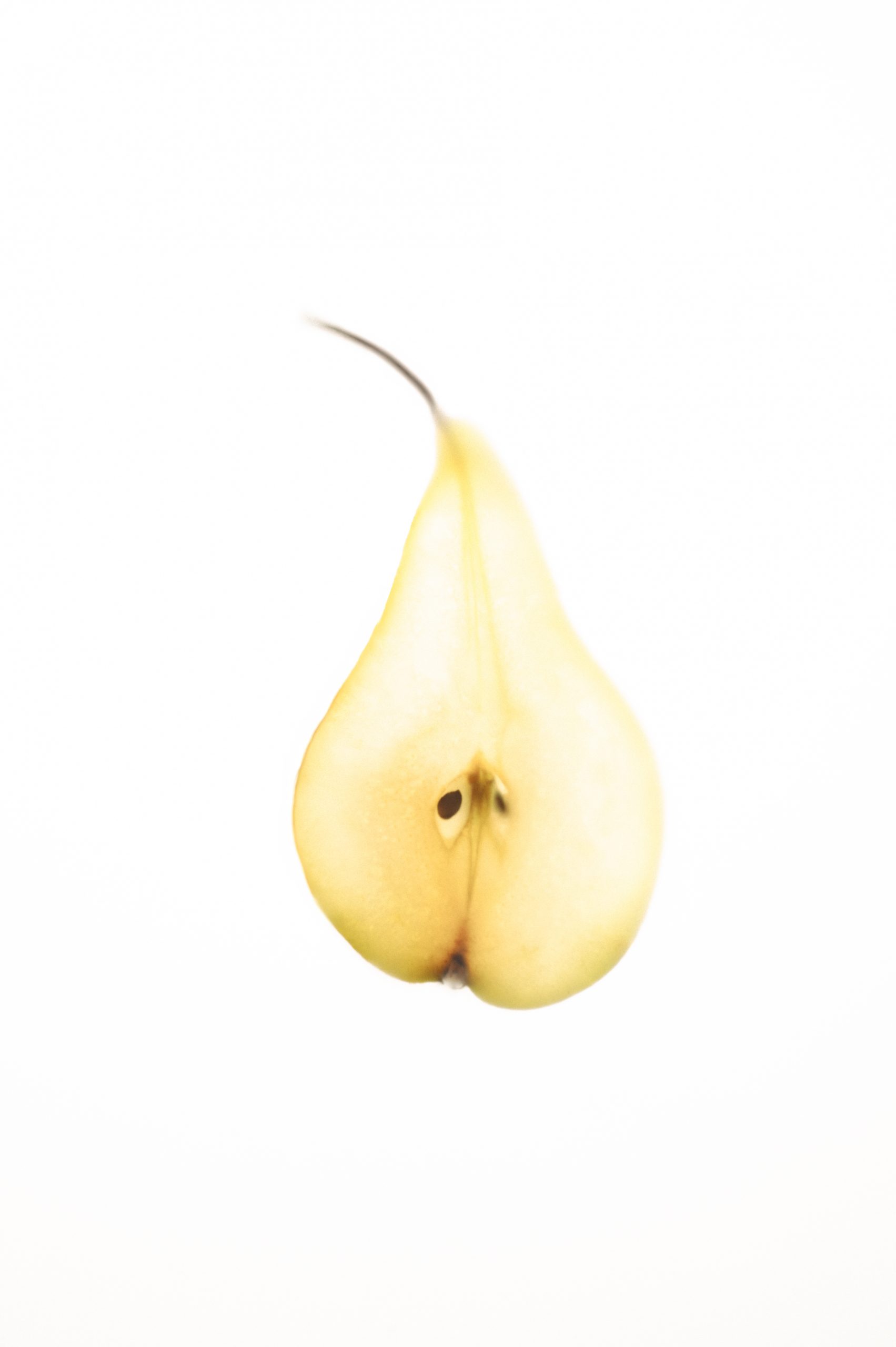 Fruit