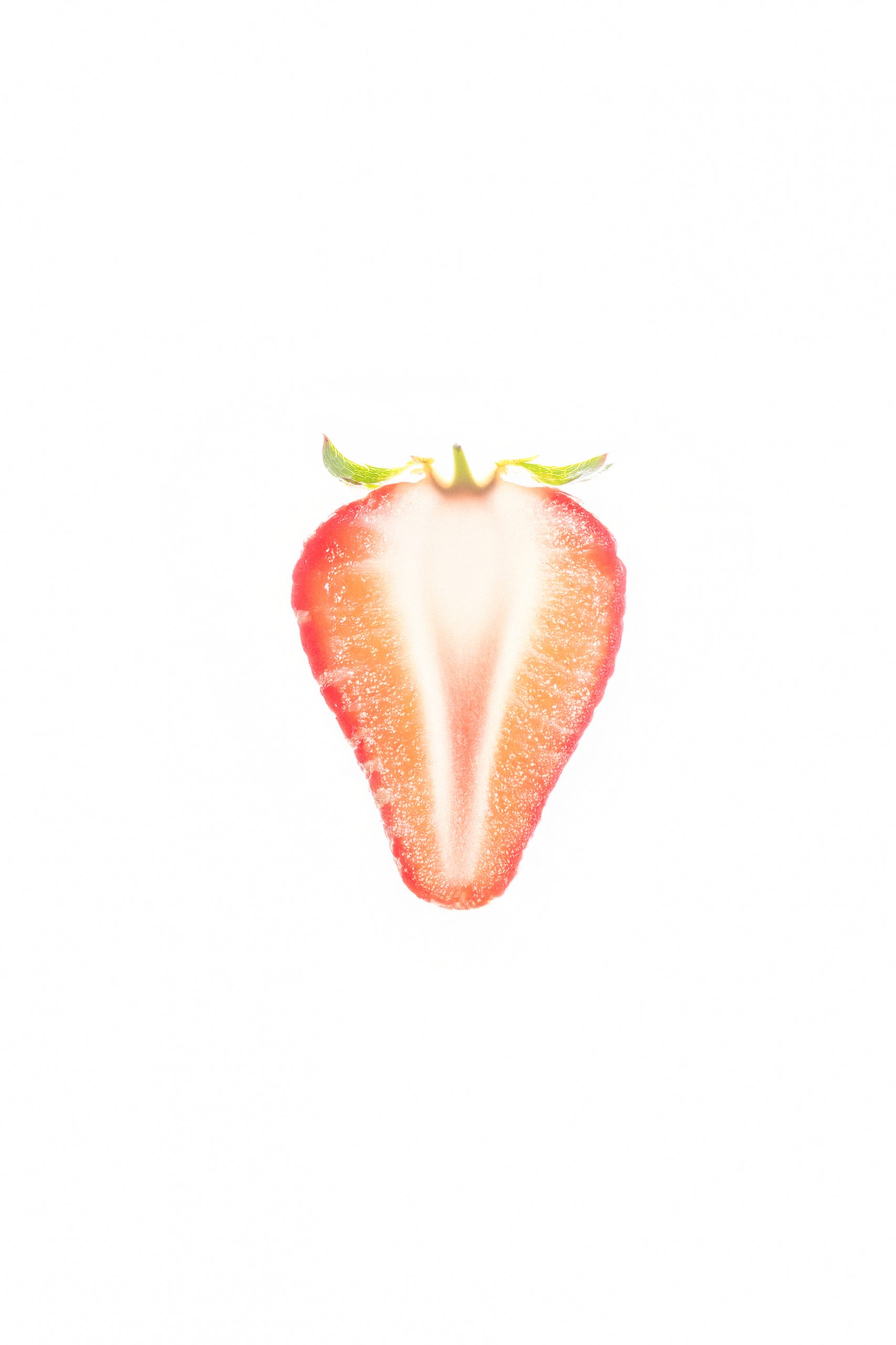 Fruit