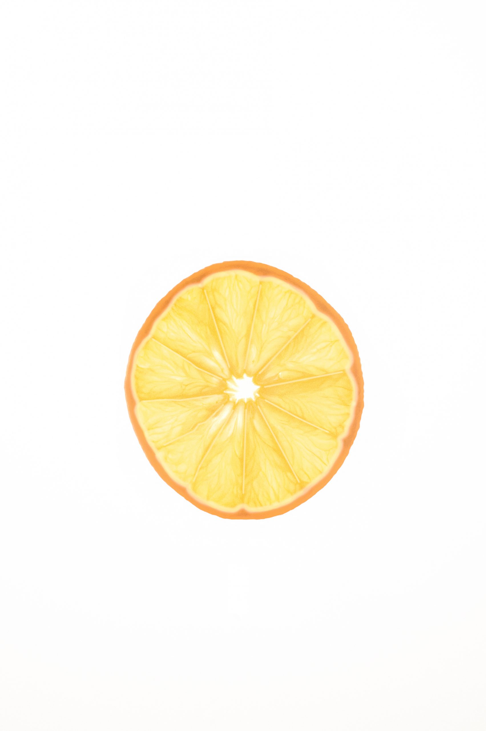 Fruit